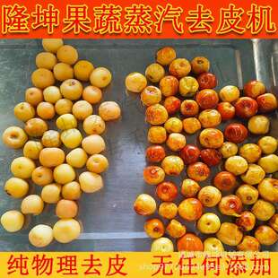 多功能果蔬蒸汽去皮机 罐头加工流水线去皮设备 全自动大枣脱皮机