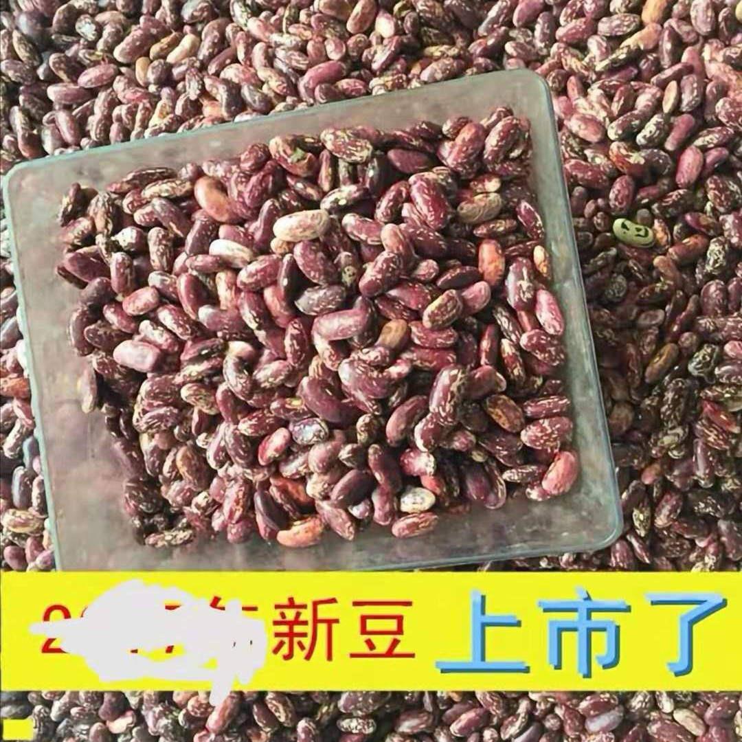 贵州织金陈静特产店土产四季豆花豆2025 年新豆干豆米