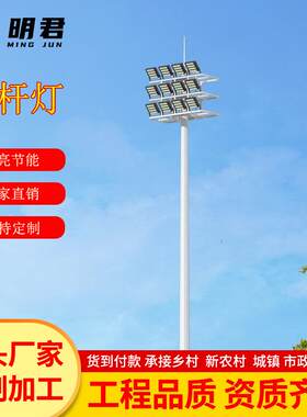 厂家LED城市景区公园高杆灯12/15/25米户外照明升降式中杆球场灯