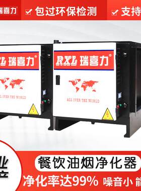 厂家供应DGRH-BS-8K型低空过滤油烟净化器厨房酒店餐饮业净化设备