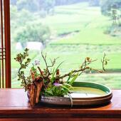 自然风化沉木枯木树根木雕杜鹃木插花微景观鱼缸造景木头摆件装 饰