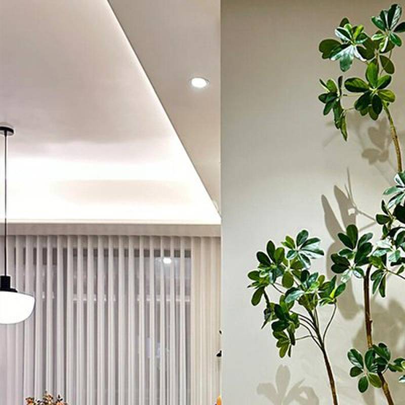 鸭脚木盆栽大型绿植客厅办公室内鸭掌木造型植物卧室四季好养活