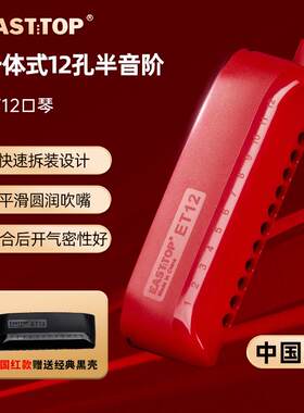 正品东鼎一式12孔半音阶1口琴c调E方T2初学者成体人学生练习演奏
