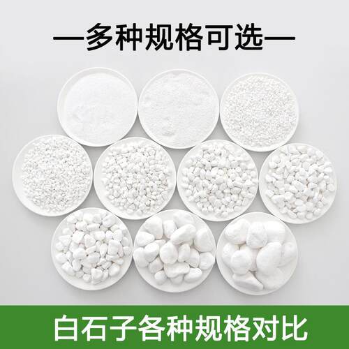 新款直销天然白色石子石头大鹅卵石庭院铺路铺地小白石头园林枯山
