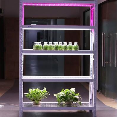 试带691验室培植物光照养架实验室组型培架组培瓶蔬菜轻架子组培
