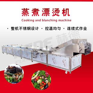 源头工厂供青HD5000应漂蔬菜杀青水线 全自动商流用大型蔬菜杀烫
