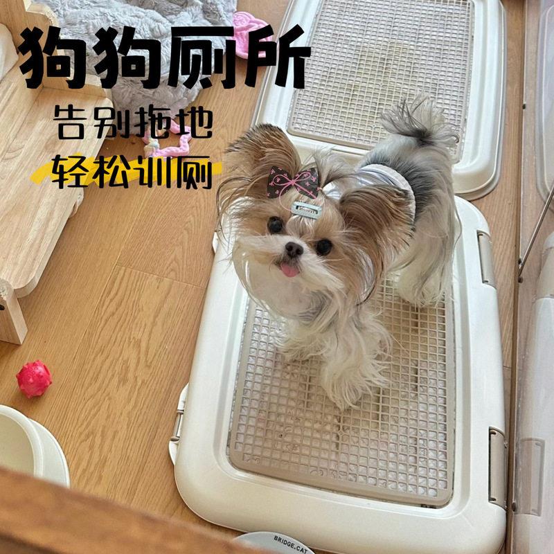 约克夏小狗狗专用厕所尿盆小号拉屎便盆拉屎狗屎盆小型犬体犬用品