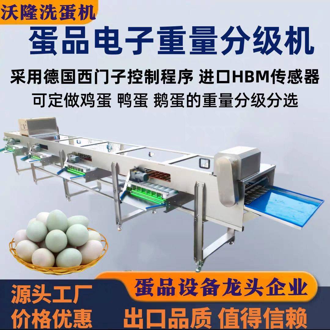 鸡蛋鸭蛋鹅蛋电子重量分拣机智能控制精准分级蛋制品分拣机设备