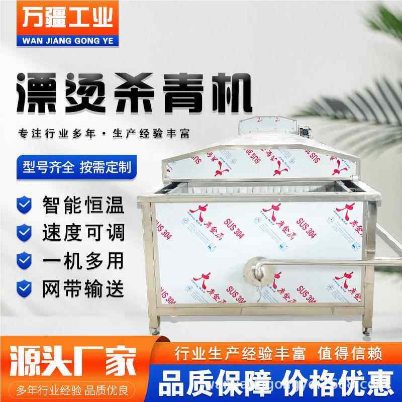 麻蒸煮漂烫杀青机烫 蕨菜天油蔬2菜漂机 豆菜角漂烫固色设备