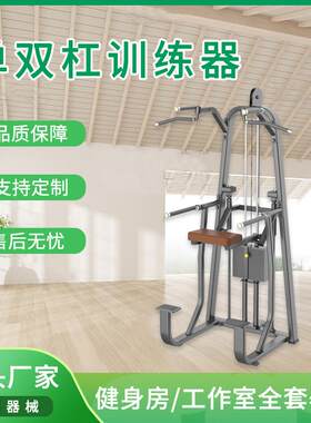 室内健身房训练器材单双杠训练器辅助引体向上机上肢屈伸运动器材