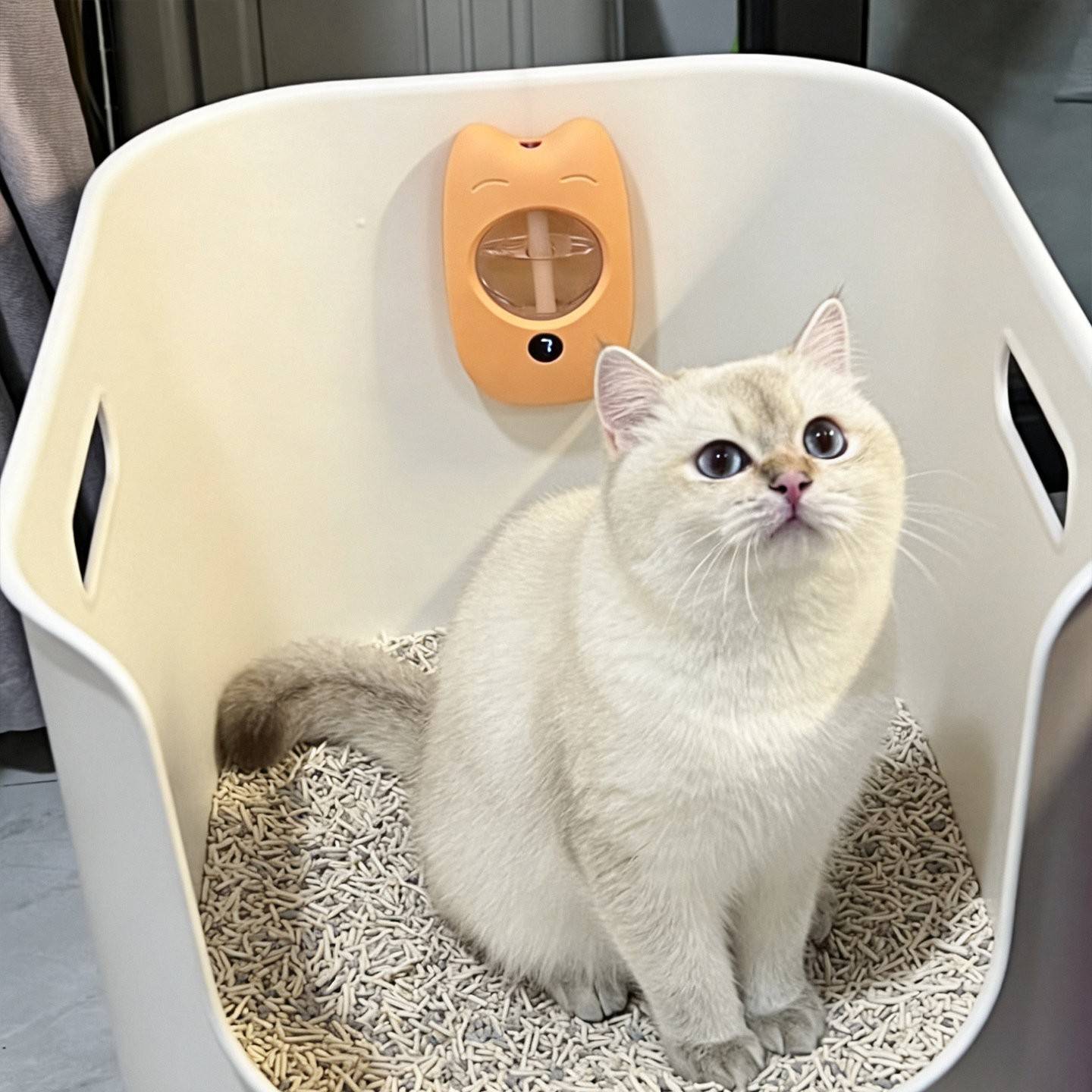 猫咪除臭香薰猫砂盆除臭神器宠物猫厕所除臭喷雾自动去异味净味器