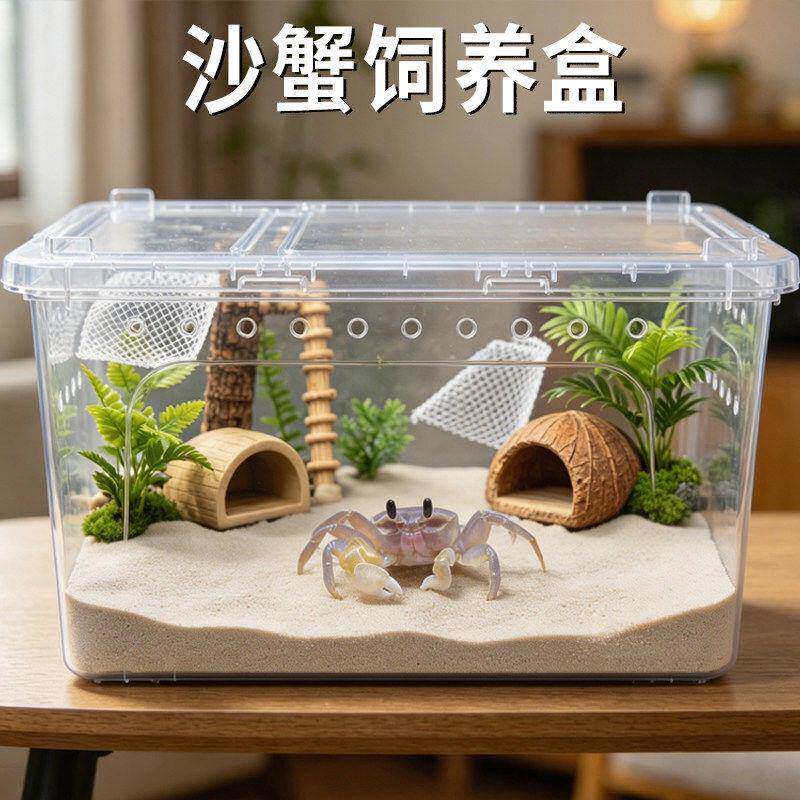沙蟹饲养盒生态缸养殖专用饲养箱透气造景缸中华沙蟹观赏造景用品