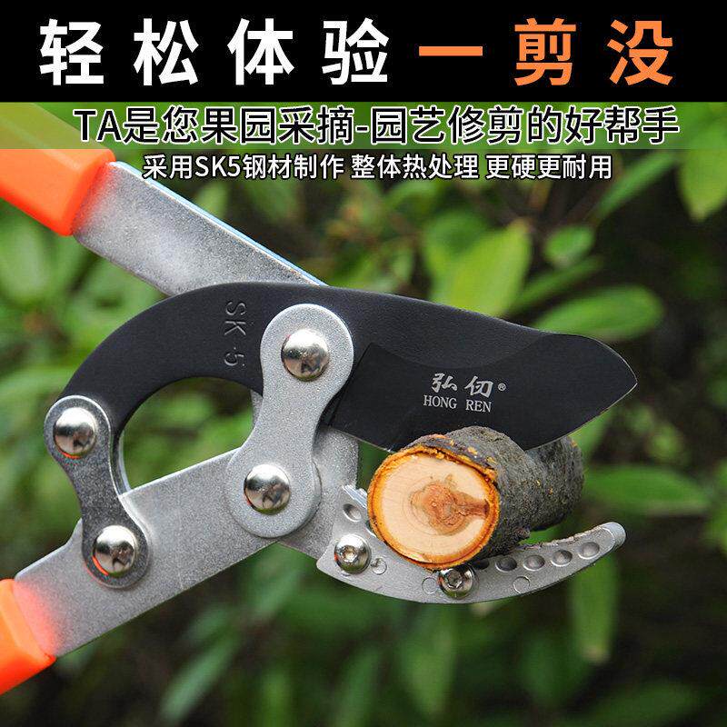 修剪树枝园林果树剪刀修枝剪粗枝剪大力剪省力园艺工具花剪大强力