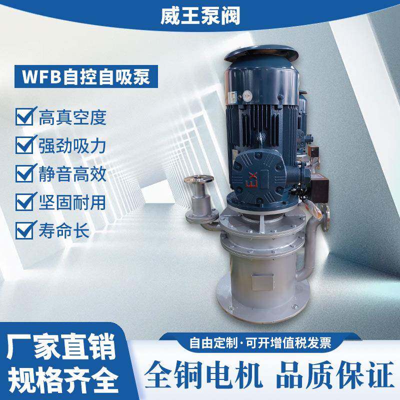 新款自吸泵品质保证无水无密封自吸泵不锈钢耐腐蚀泵125WFB-C3