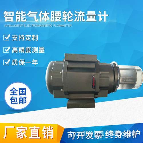 厂家直销气体罗茨流量计气体腰轮流量计天然气煤气沼气空气