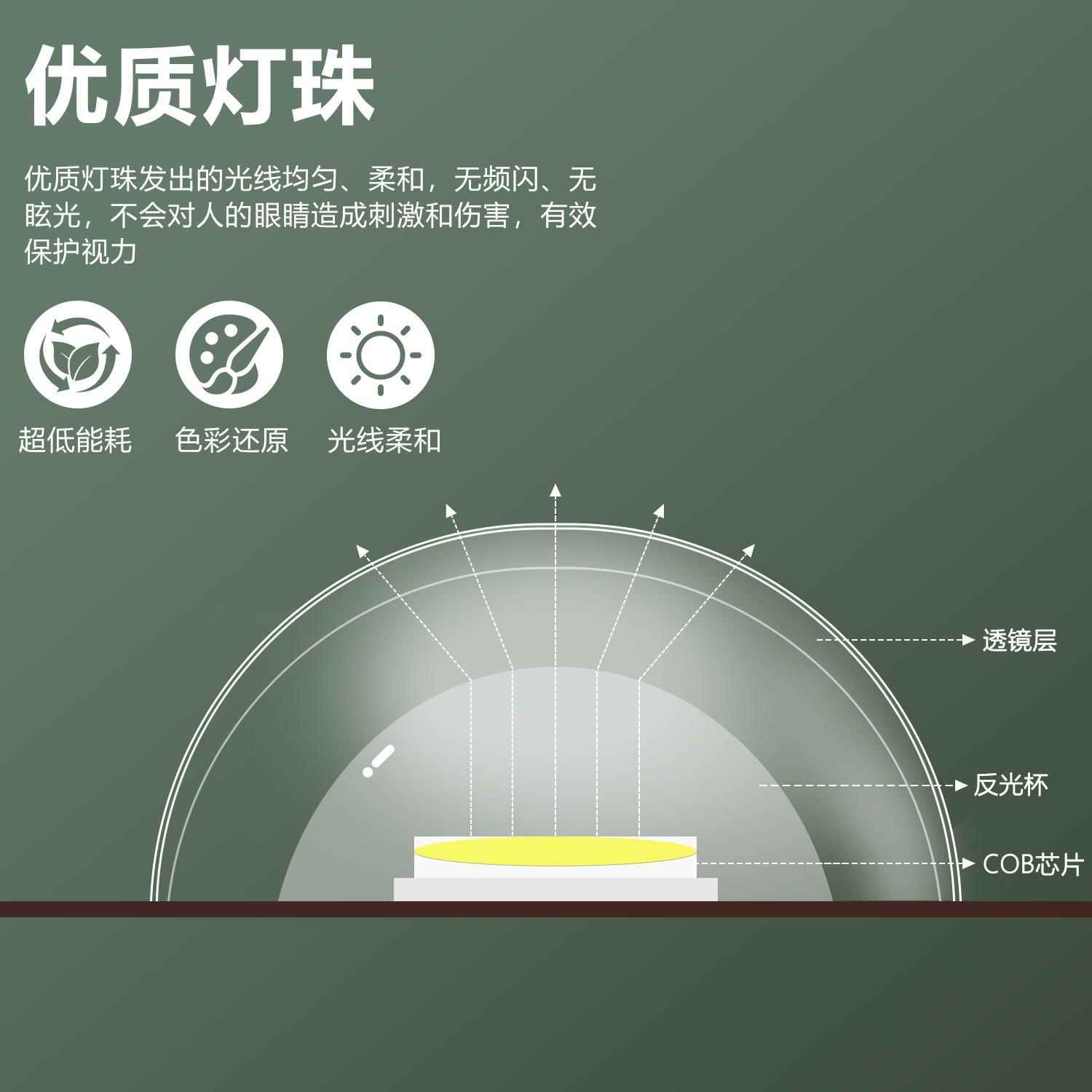 植物补灯光灯仿内太阳RBO光全光谱花卉热植多肉室植落地物生长带