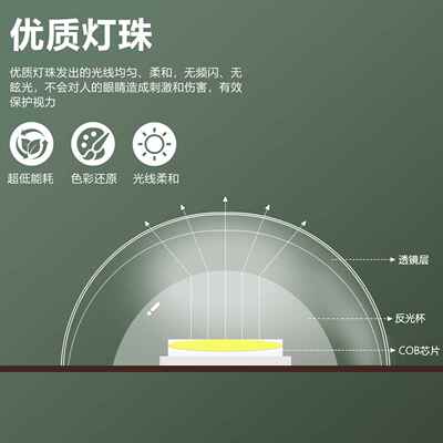植补灯仿太阳物光全光谱花卉热植多肉室内落地物EIQ生光长植灯带