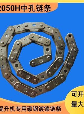 Z型提升机链条 碳钢镀镍C2050加厚中孔链条 节距31.75 提升机料斗