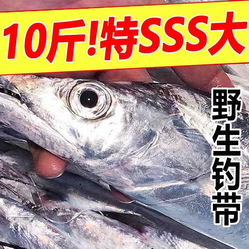 带鱼新鲜冷冻无冰特大刀鱼超大钓带整条油带鱼段鲜活捕捞整箱10斤
