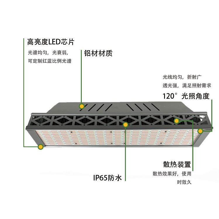 全光谱植物生长灯跨境温室内大功率led工业种植育苗灯植物灯