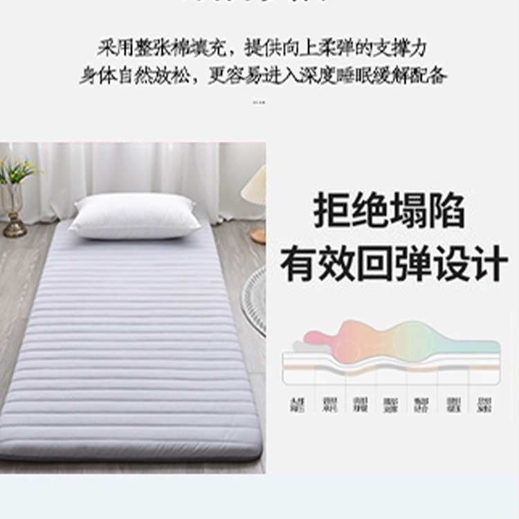 床垫软垫学生宿舍单人床褥子家用榻榻米睡垫打地铺垫被海绵垫秋式