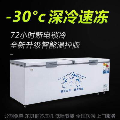 110v出口冰柜商用大容量冷冻冷藏卧式单温铜管节能肉柜雪柜冷冻柜