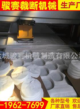 全自动送料冲孔机200T塑胶跑道冲孔机面膜珠光膜冲床裁断机