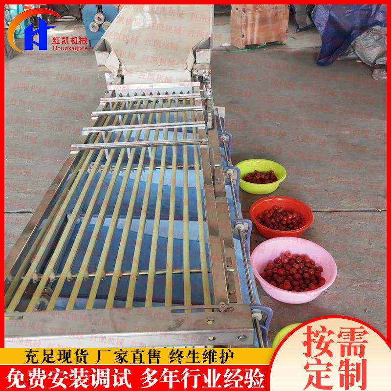全自动牡蛎分选机 不锈钢红果分选机设备 供应百香果分选机设备