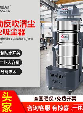 手推式大功率工业吸尘器车间吸粉尘用220V干湿两用集尘机