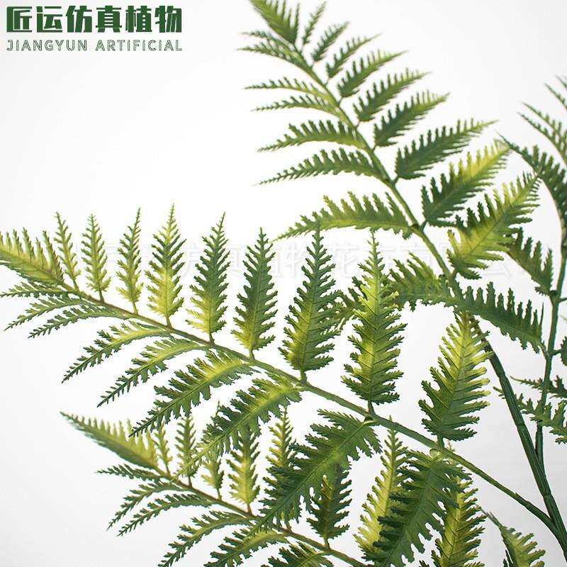 绿植摆件盆栽装饰软装造景设计软胶家居装饰北欧客厅仿真金丝猴蕨