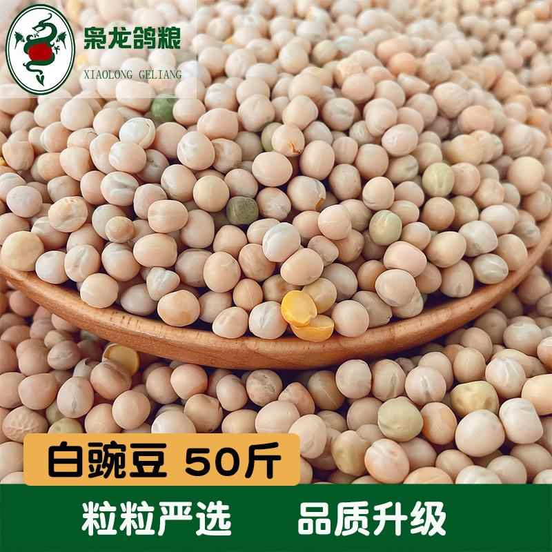 枭龙鸽粮 大白豌豆50斤赛鸽信鸽鸟食浙江沪皖包邮