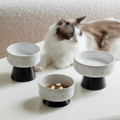 宠物猫亚马逊陶瓷高颜大号慢食碗