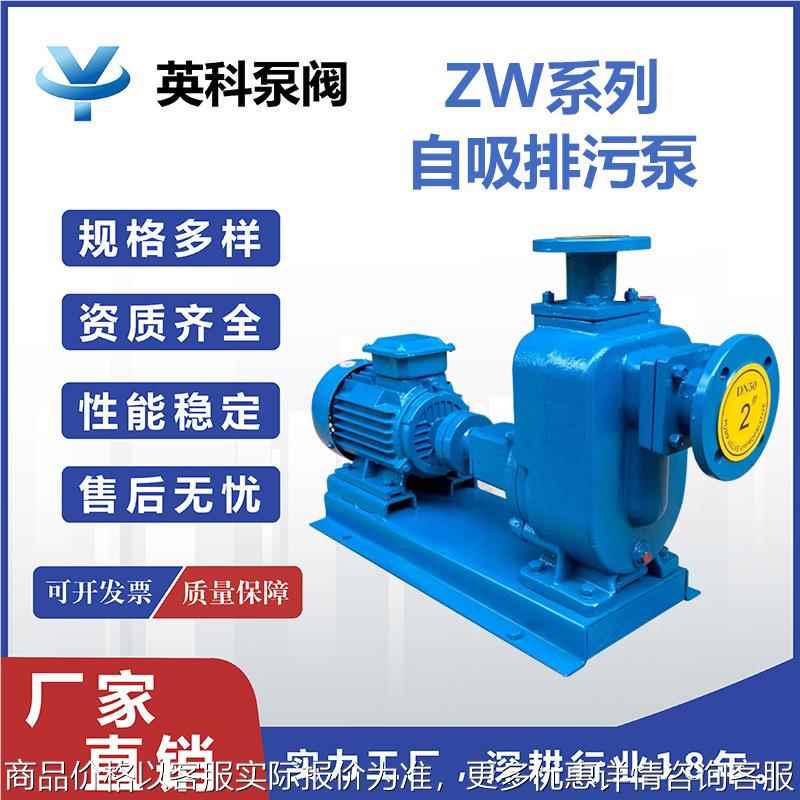 自吸泵防爆铸铁自吸无堵塞排污泵污水泵杂质泵工业抽水农用灌溉