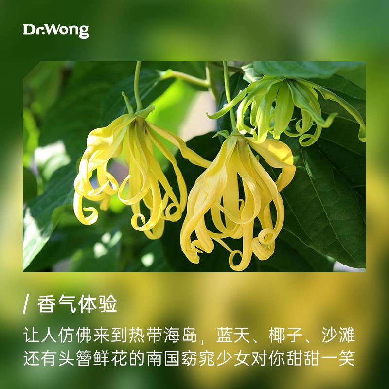 正品Dr.Wng兰单方精o依油天然植物香薰扩香 5ml卧室放松舒压 香气
