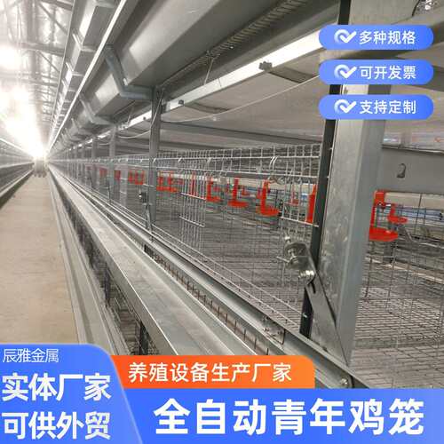 青年鸡笼自动化农场大棚养鸡恒温设备立式鸡笼自动清粪喂料设备