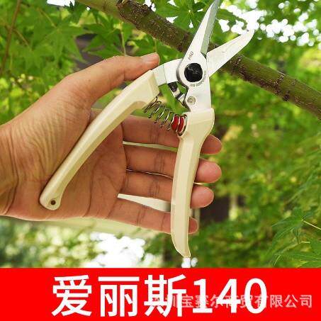 爱丽斯园艺花艺剪枝锋利修枝剪140L-DX进口摘果器省力剪整枝剪