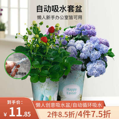 BP花卉 创意个性花盆自动吸水盆文艺小清新塑料花盆懒人桌面花