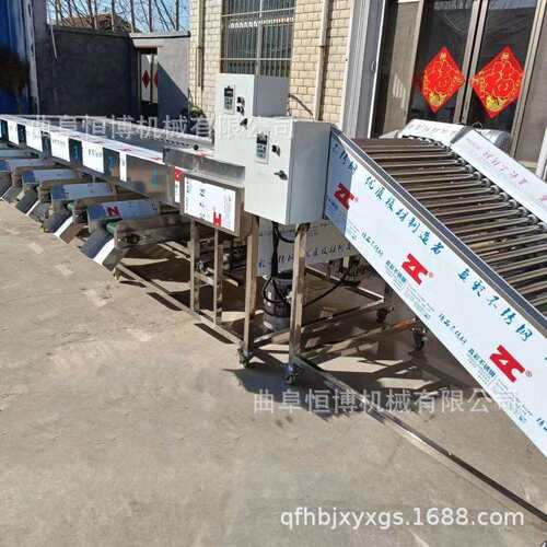 草莓不锈钢筛选机商用荔枝分选机工业李子分级设备均匀不伤果