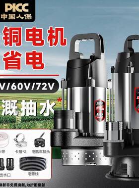 直流无刷潜水泵电瓶车农用灌溉家用高扬程电瓶车48V60V72V抽水机