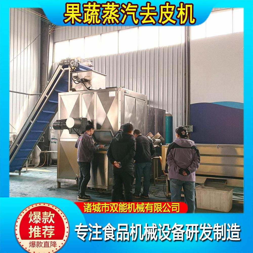 果蔬蒸汽去皮机全自动土豆红薯黄精地黄芋头材块茎果蔬去皮