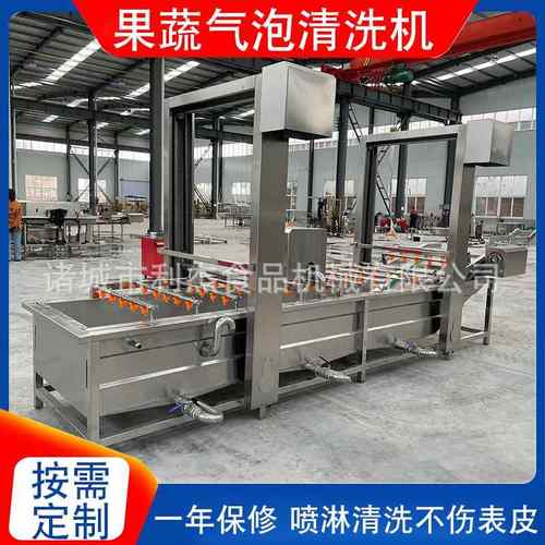 供应大枣清洗去杂设备樱桃全自动清洗机连续式番茄气泡清洗机