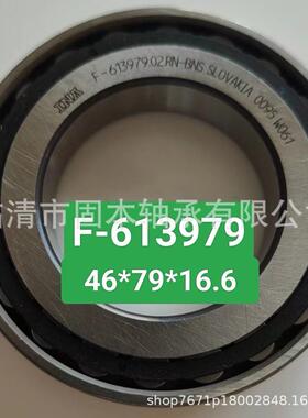 F-613979.02RN圆柱滚子非标轴承F-613979