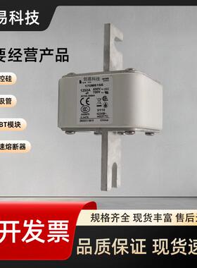 170M6158170M6159170M6160170M6161170M6162熔断器170M系列