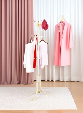 卧室衣帽架落地立式挂衣欧式简易加粗铁艺轻奢浴室收纳9钩12衣架