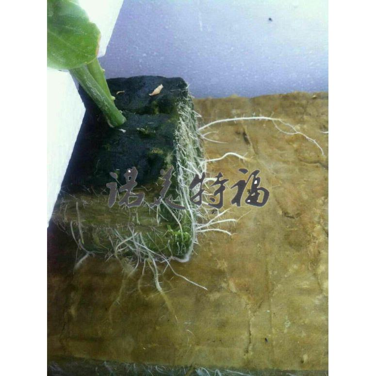 厂家生产种植岩棉块10.10.7种植块扦插育苗无土栽培新型多效商用