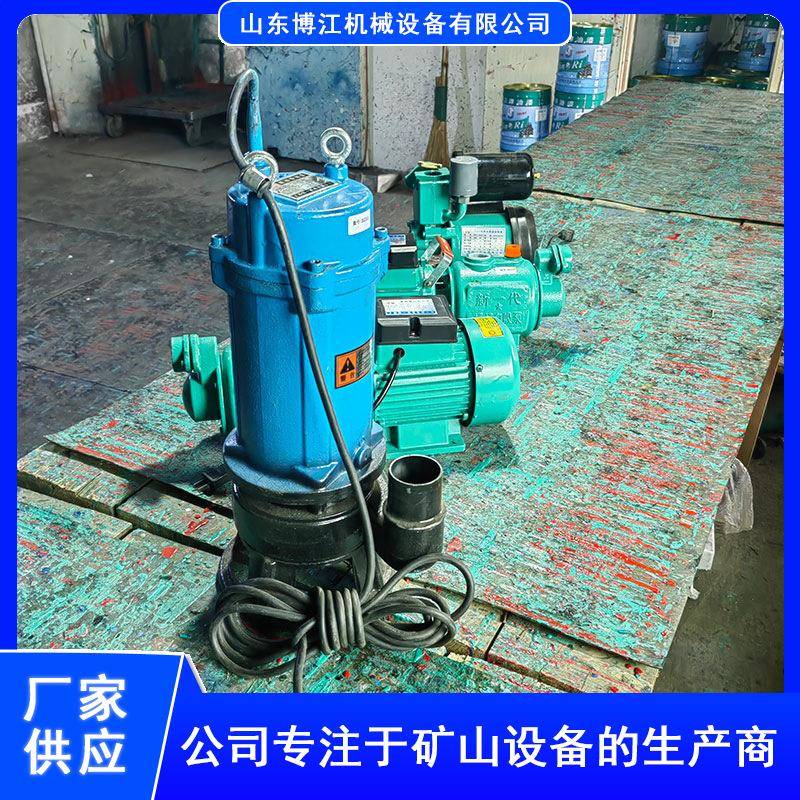 带切割装置污水污物潜水泵两寸家用单相污水泵无堵塞不锈钢排污泵