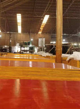 1830建筑*工地模板用桥梁工程红915中高层多层板模板板材临沂工程