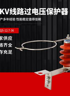 10KV线路过电压保护器XHQ5-12.7/36线路型防雷型过电压保护器
