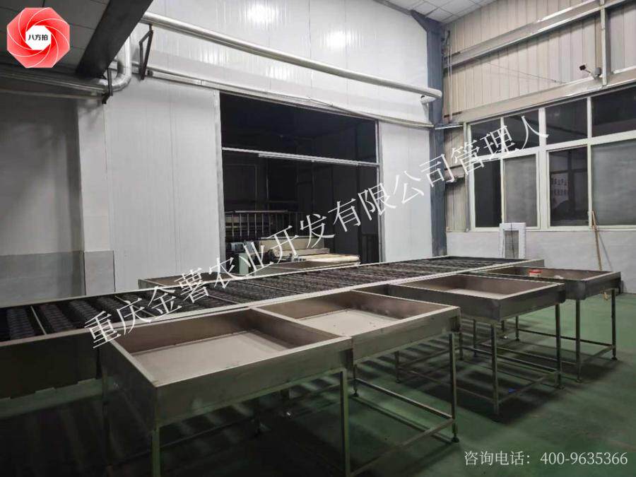 12月23日重庆武隆开发公司名下水晶粉丝（条）生产线等18项机器设备网络拍卖公告