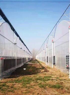 连栋薄温膜室大CIA农业园林花卉水果种植遮阳连防棚风雨体瓜果温